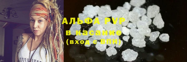 прущие грибы Усмань