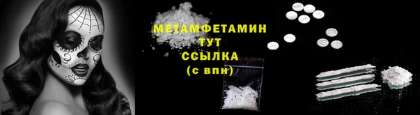 прущие грибы Усмань