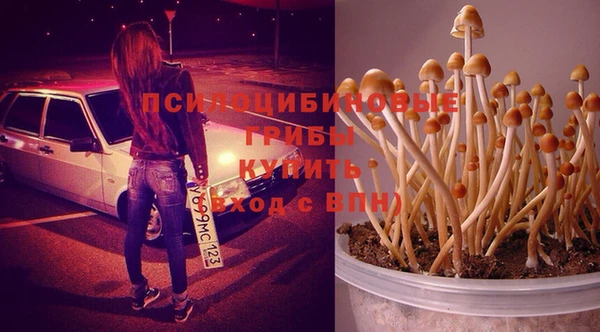 прущие грибы Усмань