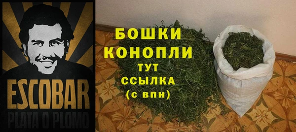 прущие грибы Усмань